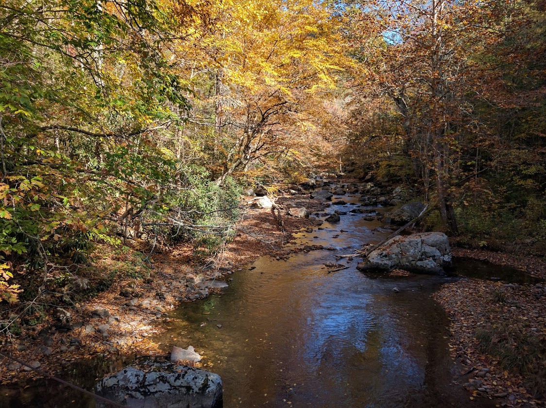 River view, Virginia Creeper Trail