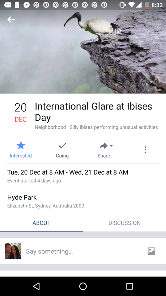 International Glare At Ibises Day